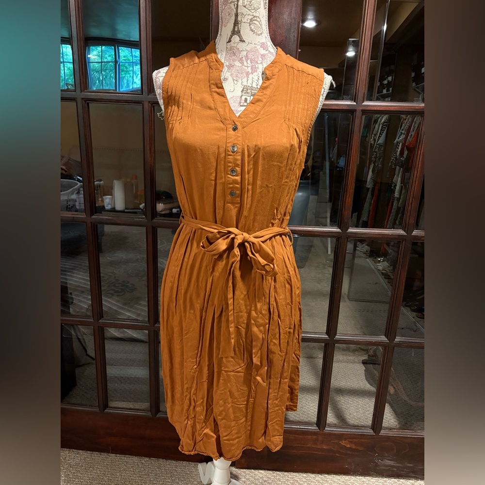 Sleeveless Button-Down Dress in Burnt Orange